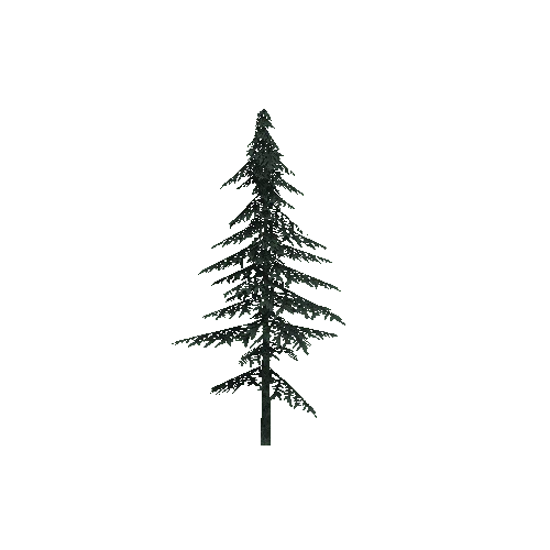 ConiferTreeSmall03LOD2 (TVE Backup)